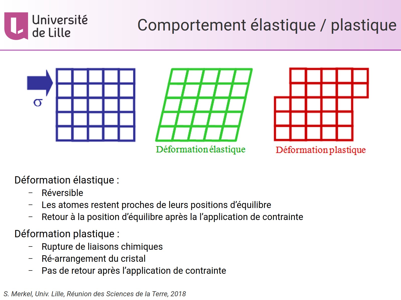 Comportement élastique / plastique